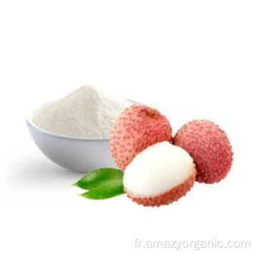 Poudre de fruits naturels Poudre d&#39;extrait de litchi Litchi